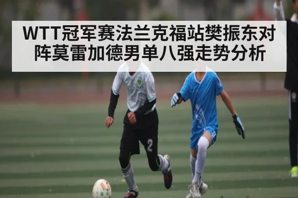 WTT冠军赛法兰克福站樊振东对阵莫雷加德男单八强走势分析 - NG28