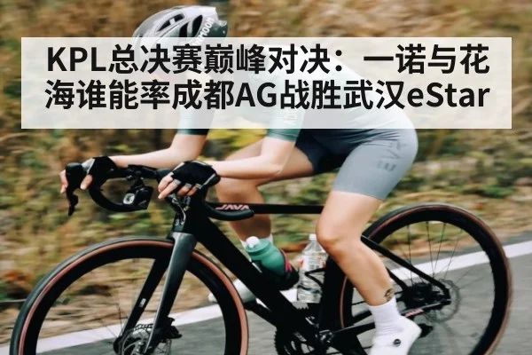 KPL总决赛巅峰对决：一诺与花海谁能率成都AG战胜武汉eStar - NG28