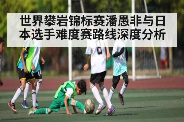 世界攀岩锦标赛潘愚非与日本选手难度赛路线深度分析 - NG28
